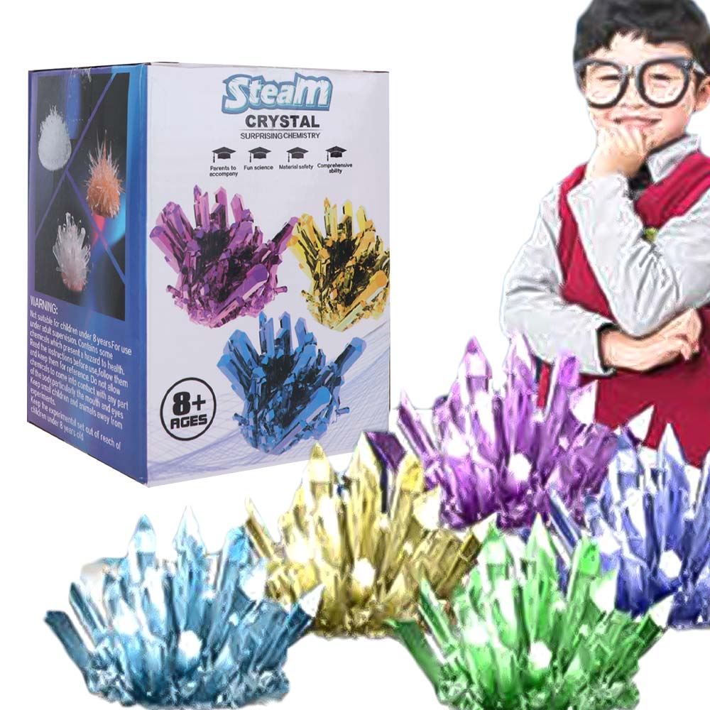 Grow a Crystal Crystal Growing - Science Project Diy ulasan dan harga